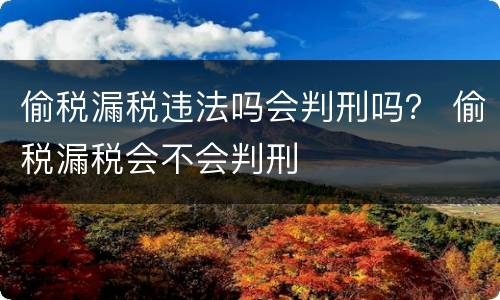 偷税漏税违法吗会判刑吗？ 偷税漏税会不会判刑