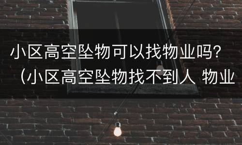 小区高空坠物可以找物业吗？（小区高空坠物找不到人 物业法）