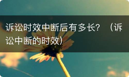 诉讼时效中断后有多长？（诉讼中断的时效）