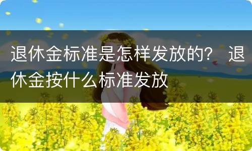 退休金标准是怎样发放的？ 退休金按什么标准发放