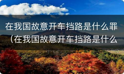在我国故意开车挡路是什么罪（在我国故意开车挡路是什么罪行）