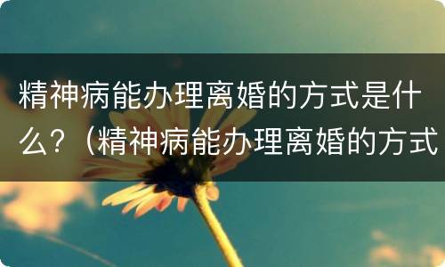 精神病能办理离婚的方式是什么?（精神病能办理离婚的方式是什么意思）