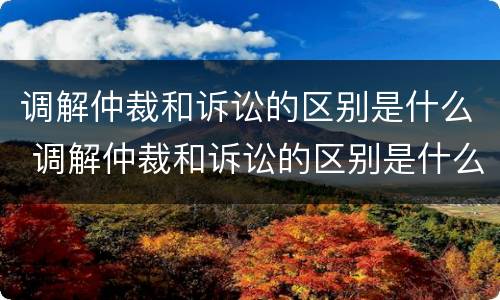 调解仲裁和诉讼的区别是什么 调解仲裁和诉讼的区别是什么呢