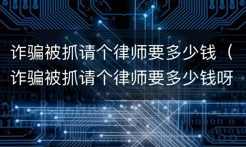 诈骗被抓请个律师要多少钱（诈骗被抓请个律师要多少钱呀）