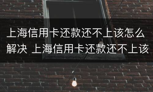 上海信用卡还款还不上该怎么解决 上海信用卡还款还不上该怎么解决问题