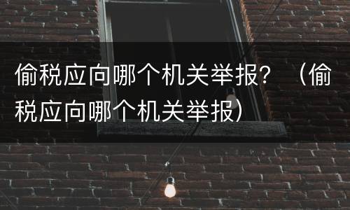 偷税应向哪个机关举报？（偷税应向哪个机关举报）