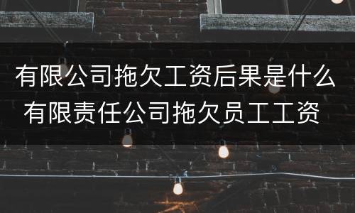 有限公司拖欠工资后果是什么 有限责任公司拖欠员工工资