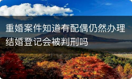 重婚案件知道有配偶仍然办理结婚登记会被判刑吗