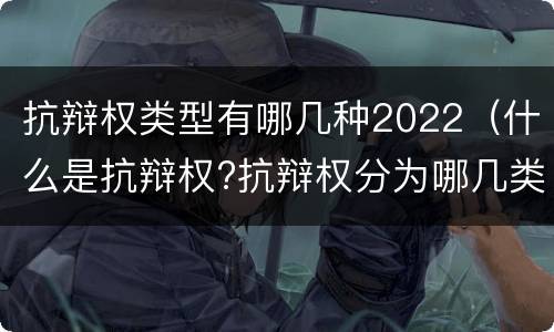 抗辩权类型有哪几种2022（什么是抗辩权?抗辩权分为哪几类?）