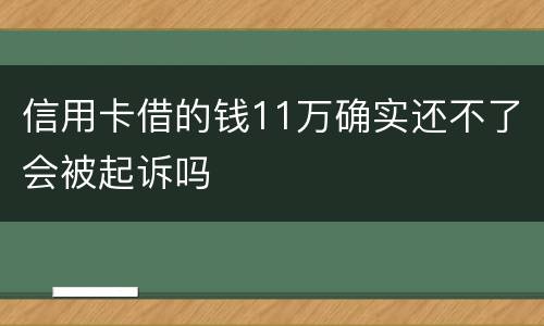 信用卡借的钱11万确实还不了会被起诉吗