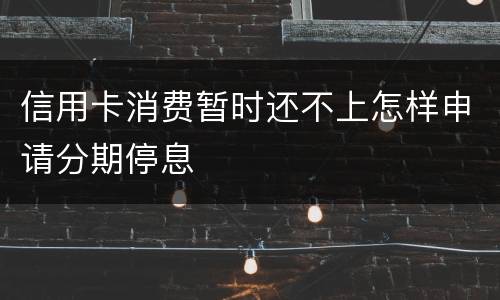 信用卡消费暂时还不上怎样申请分期停息
