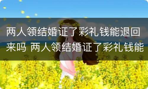 两人领结婚证了彩礼钱能退回来吗 两人领结婚证了彩礼钱能退回来吗知乎
