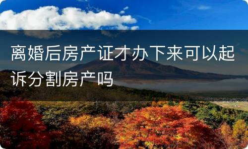 离婚后房产证才办下来可以起诉分割房产吗