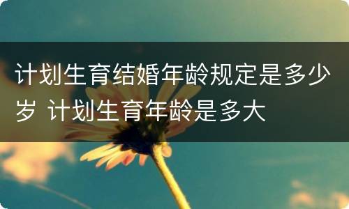 计划生育结婚年龄规定是多少岁 计划生育年龄是多大