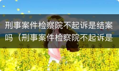 刑事案件检察院不起诉是结案吗（刑事案件检察院不起诉是结案吗怎么办）