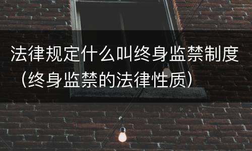 法律规定什么叫终身监禁制度（终身监禁的法律性质）