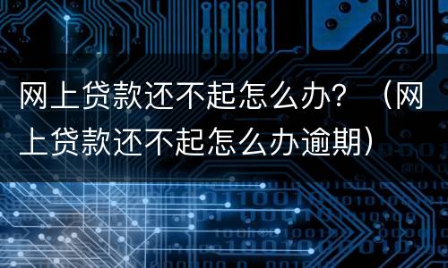 网上贷款还不起怎么办？（网上贷款还不起怎么办逾期）
