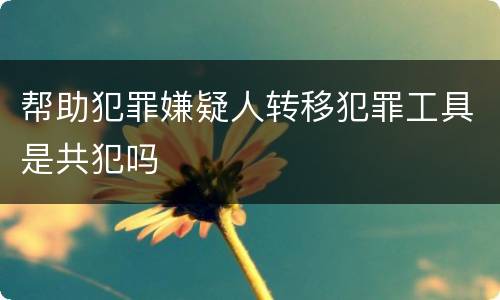帮助犯罪嫌疑人转移犯罪工具是共犯吗