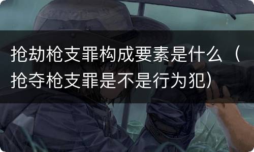 抢劫枪支罪构成要素是什么（抢夺枪支罪是不是行为犯）