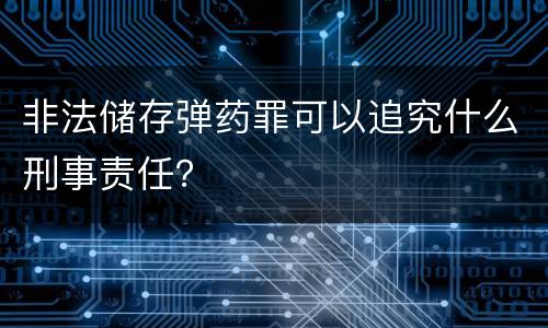 非法储存弹药罪可以追究什么刑事责任？