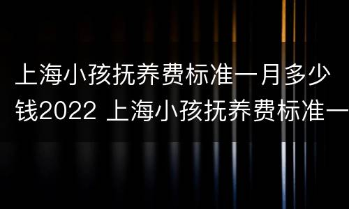上海小孩抚养费标准一月多少钱2022 上海小孩抚养费标准一月多少钱2022年