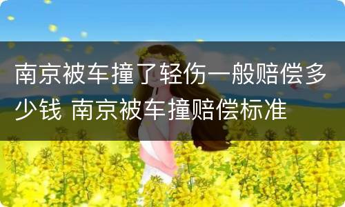 南京被车撞了轻伤一般赔偿多少钱 南京被车撞赔偿标准
