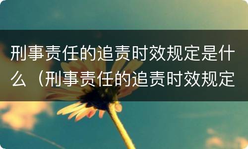 刑事责任的追责时效规定是什么（刑事责任的追责时效规定是什么意思）