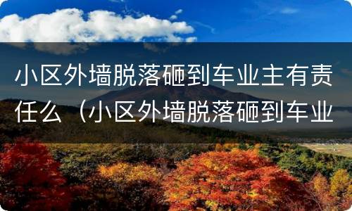 小区外墙脱落砸到车业主有责任么（小区外墙脱落砸到车业主有责任么）