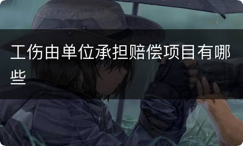 工伤由单位承担赔偿项目有哪些