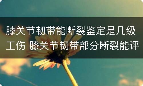 膝关节韧带能断裂鉴定是几级工伤 膝关节韧带部分断裂能评几级