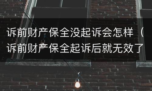 诉前财产保全没起诉会怎样（诉前财产保全起诉后就无效了吗）