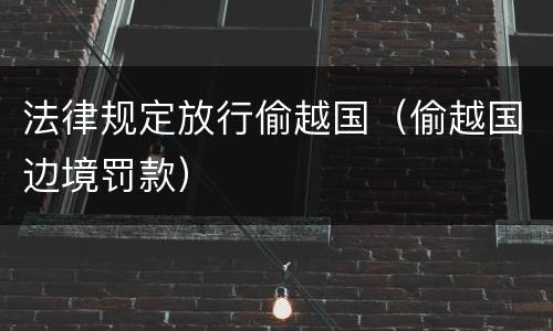 法律规定放行偷越国（偷越国边境罚款）