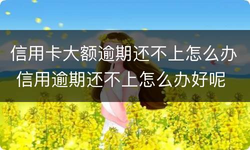 信用卡大额逾期还不上怎么办 信用逾期还不上怎么办好呢