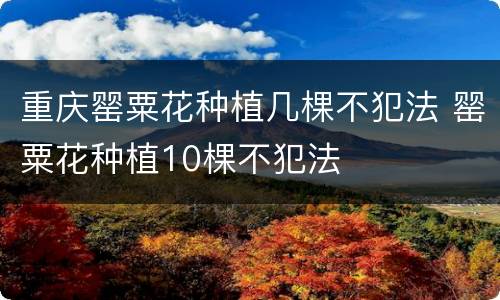重庆罂粟花种植几棵不犯法 罂粟花种植10棵不犯法