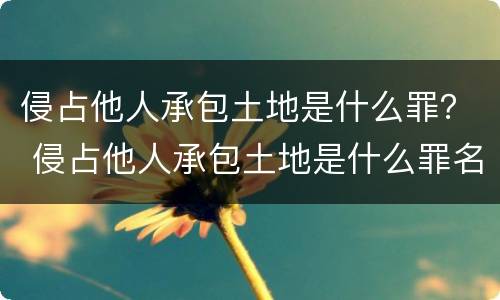 侵占他人承包土地是什么罪？ 侵占他人承包土地是什么罪名