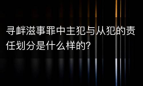 寻衅滋事罪中主犯与从犯的责任划分是什么样的？