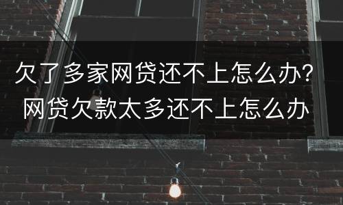 欠了多家网贷还不上怎么办？ 网贷欠款太多还不上怎么办