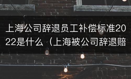 上海公司辞退员工补偿标准2022是什么（上海被公司辞退赔偿标准）