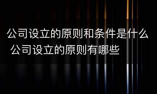 公司设立的原则和条件是什么 公司设立的原则有哪些