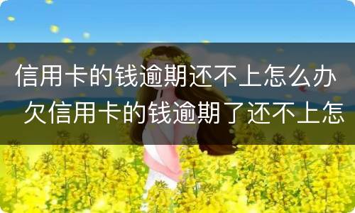 信用卡的钱逾期还不上怎么办 欠信用卡的钱逾期了还不上怎么办