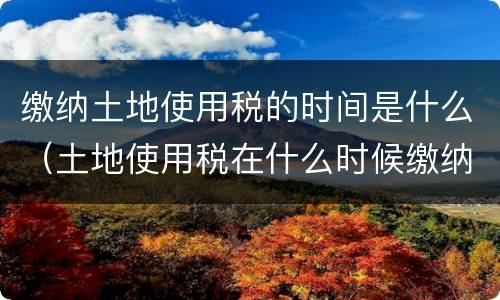 缴纳土地使用税的时间是什么（土地使用税在什么时候缴纳）