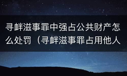 寻衅滋事罪中强占公共财产怎么处罚（寻衅滋事罪占用他人财物的认定）