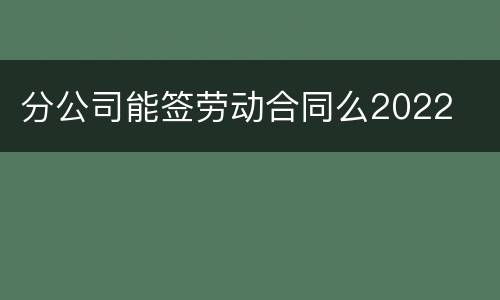分公司能签劳动合同么2022