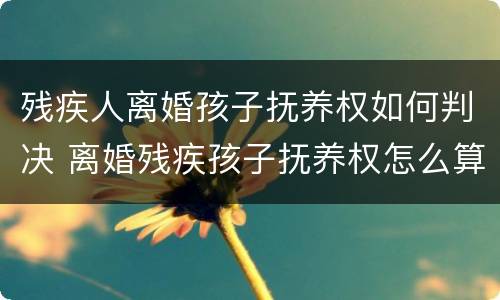 残疾人离婚孩子抚养权如何判决 离婚残疾孩子抚养权怎么算