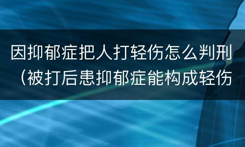 因抑郁症把人打轻伤怎么判刑（被打后患抑郁症能构成轻伤吗）