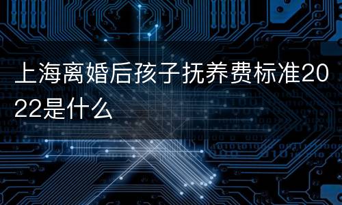 上海离婚后孩子抚养费标准2022是什么