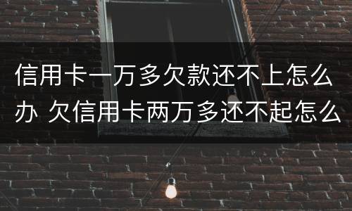 信用卡一万多欠款还不上怎么办 欠信用卡两万多还不起怎么办