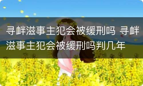寻衅滋事主犯会被缓刑吗 寻衅滋事主犯会被缓刑吗判几年