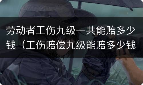 劳动者工伤九级一共能赔多少钱（工伤赔偿九级能赔多少钱）