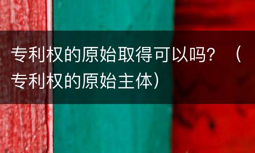 专利权的原始取得可以吗？（专利权的原始主体）